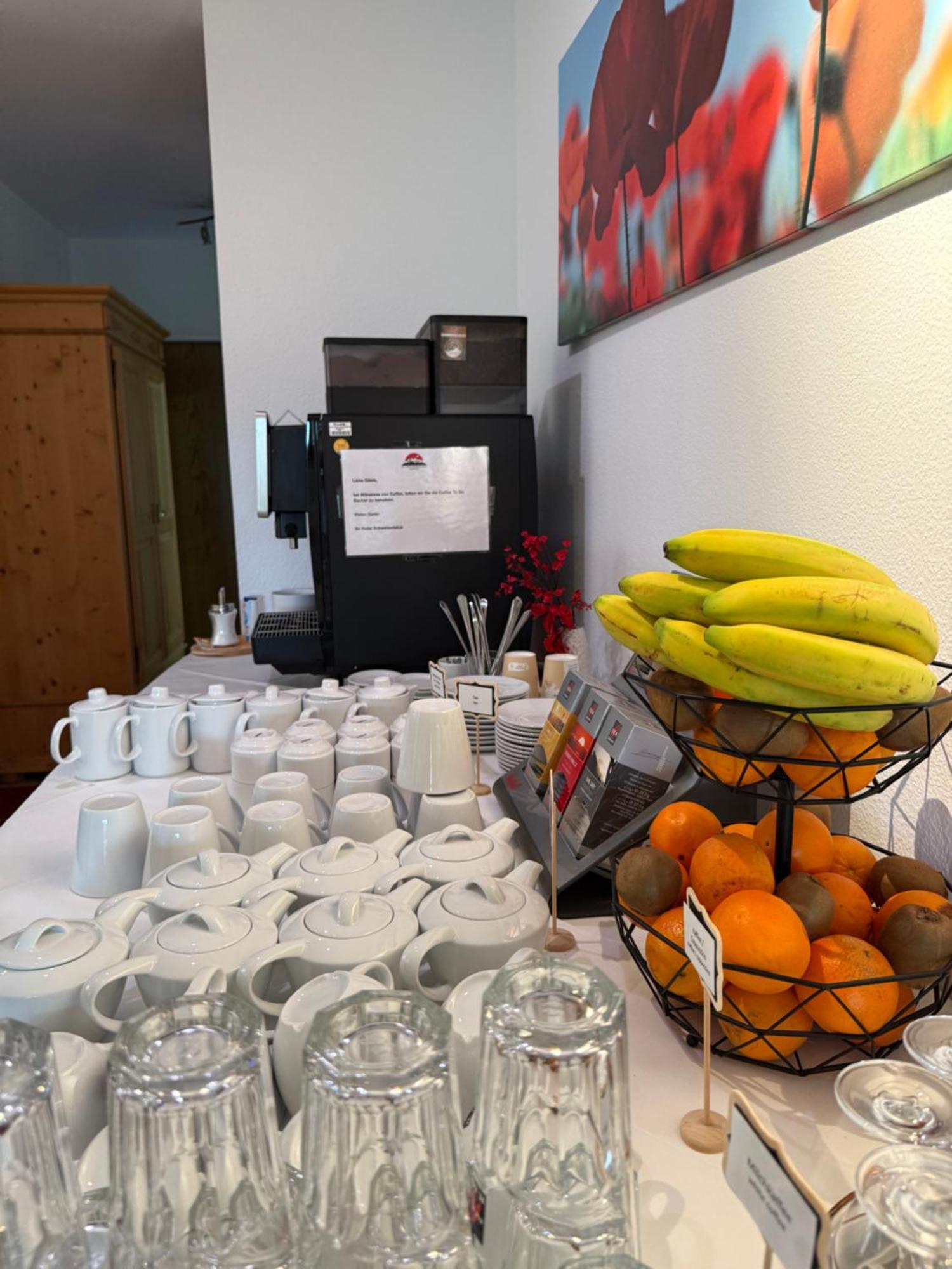 Hotel Schweizerblick Bad Säckingen Eksteriør billede